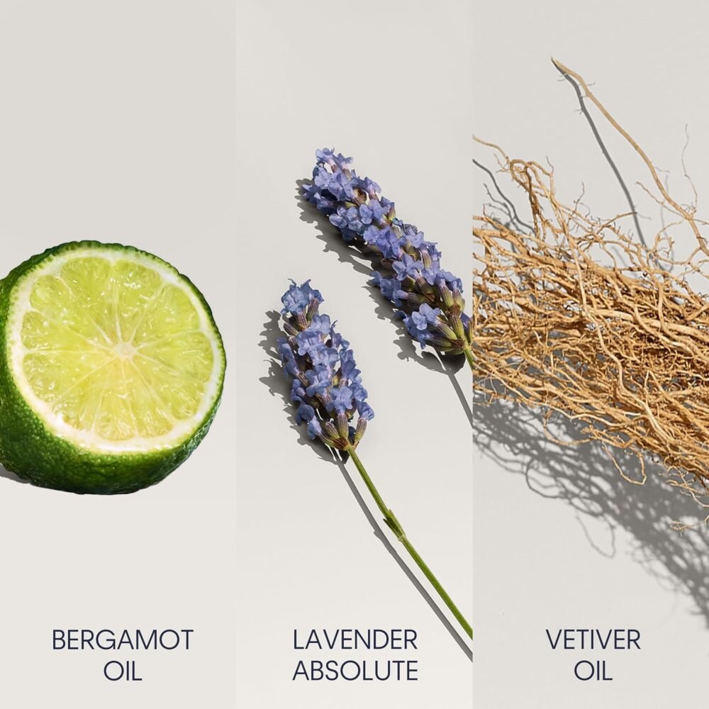 عطر "Defy" من كالفن كلاين - أو دو تواليت للرجال - عطر خشبي فاخر - الصورة 3