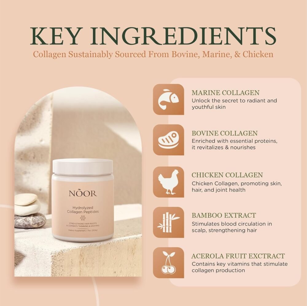 NOOR HAIR ببتيدات الكولاجين المهدرجة لعلاج الشعر المتطاير والتالف - كولاجين من النوع I, II, III, V, X للنساء، لمنع تساقط الشعر والترقق - الصورة 2