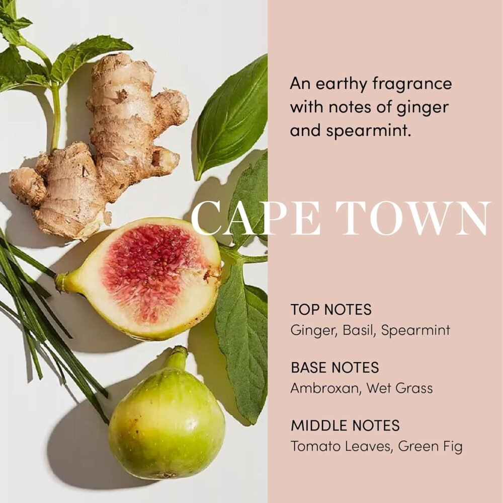 سيروم OUAI للعناية بفروة الرأس - سيروم موازن ومرطب مع مستخلص البرسيم الأحمر، الجنسنغ السيبيري والببتيدات لشعر أكثر كثافة وامتلاء - خالي من البارابين والفثالات والكبريتات للعناية بفروة الرأس (2 أونصة سائلة) - الصورة 6