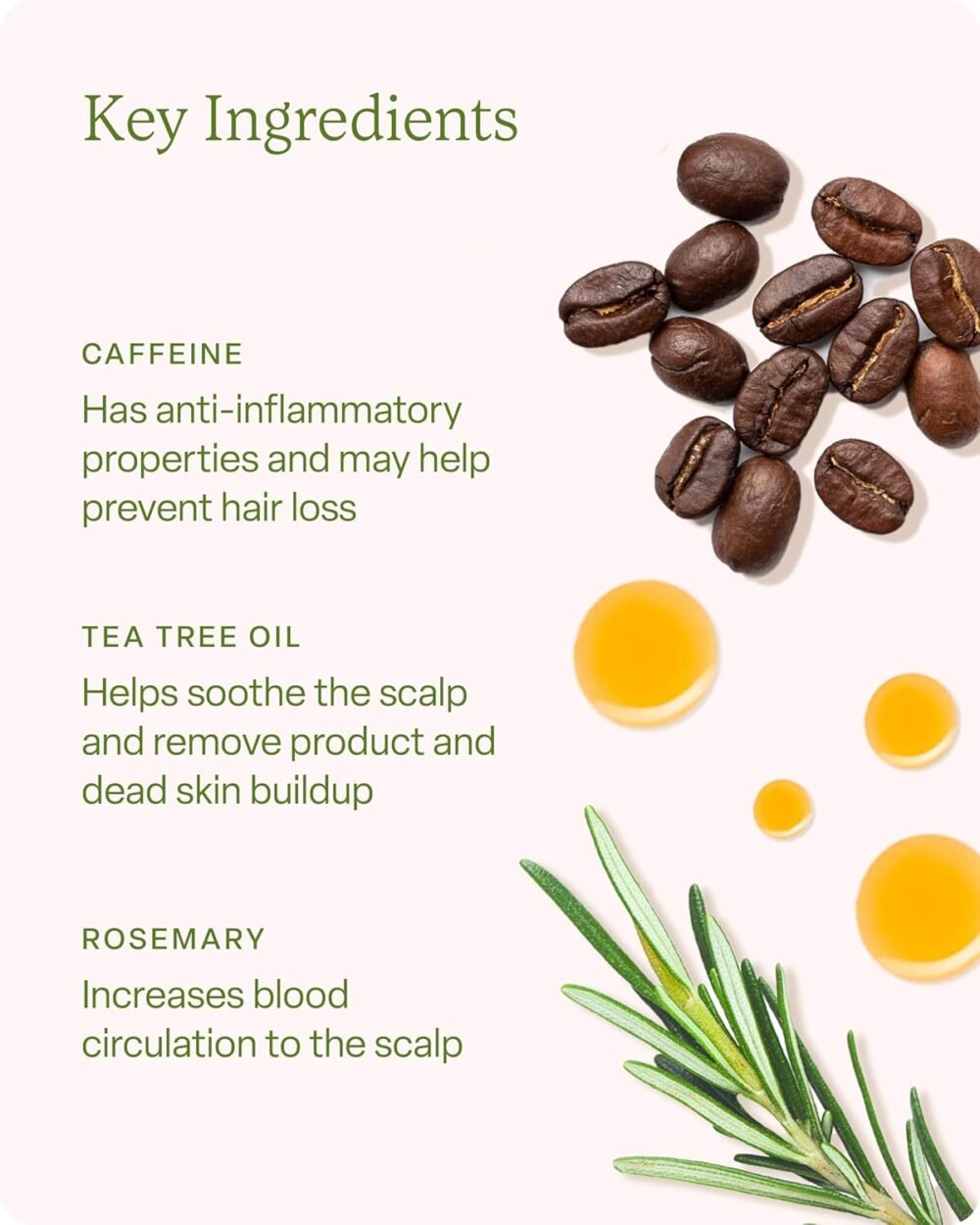 سيروم Divi للعناية بفروة الرأس للنساء والرجال - يعيد الحيوية ويوازن فروة الرأس - يحسن مظهر الشعر المتساقط، يغذي الفروة ويساعد في إزالة تراكم المنتجات والزيوت، 100 مل - الصورة 5