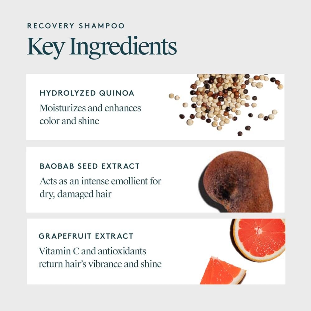شامبو Virtue Recovery خالي من الكبريتات مع الكيراتين وزيت بذور باوباب للشعر التالف، آمن للشعر المصبوغ - الصورة 3